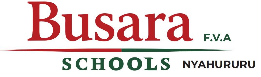 Busara Schools Logo